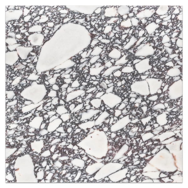 Bianco Violetta 18" x 18" Honed