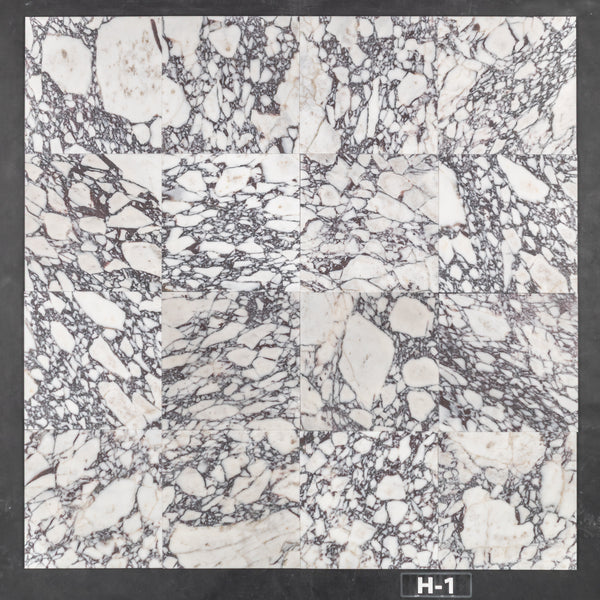 Bianco Violetta 12" x 12" Honed