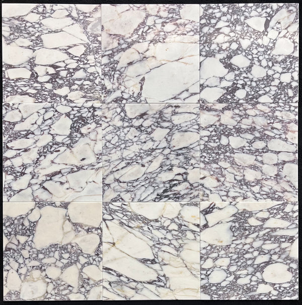 Bianco Violetta 12" x 12" Honed