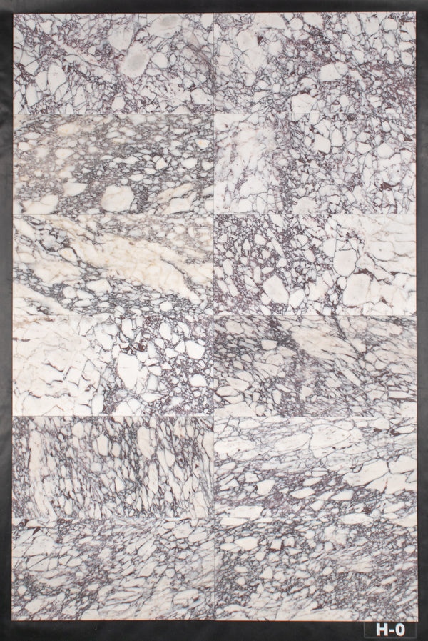 Bianco Violetta 12" x 24" Honed