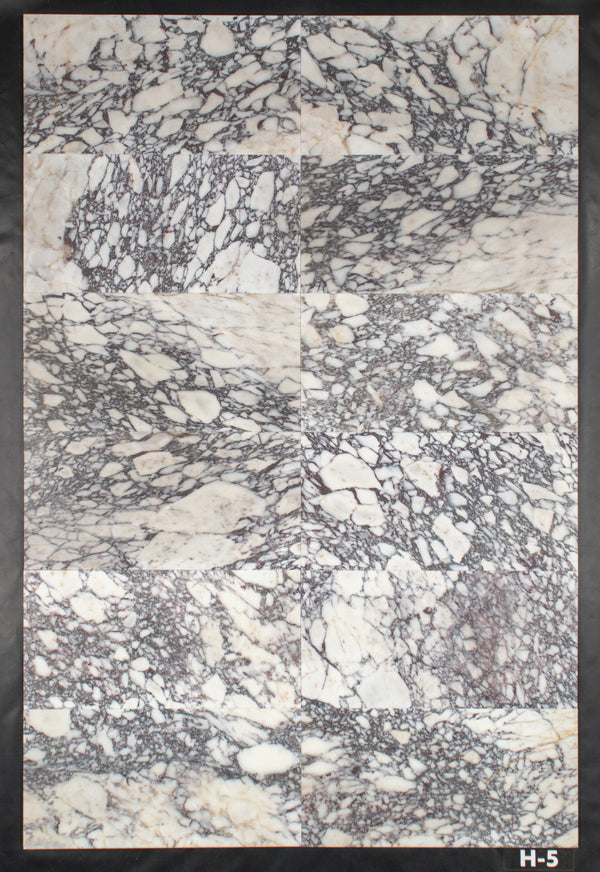 Bianco Violetta 12" x 24" Honed