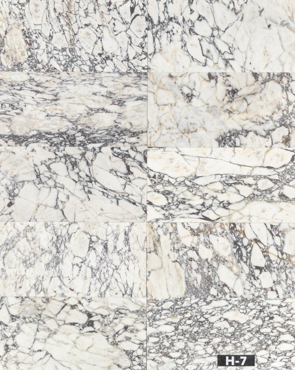 Bianco Violetta 12" x 24" Honed