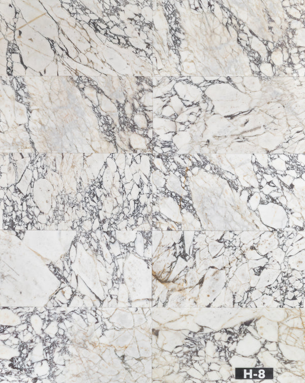 Bianco Violetta 12" x 24" Honed