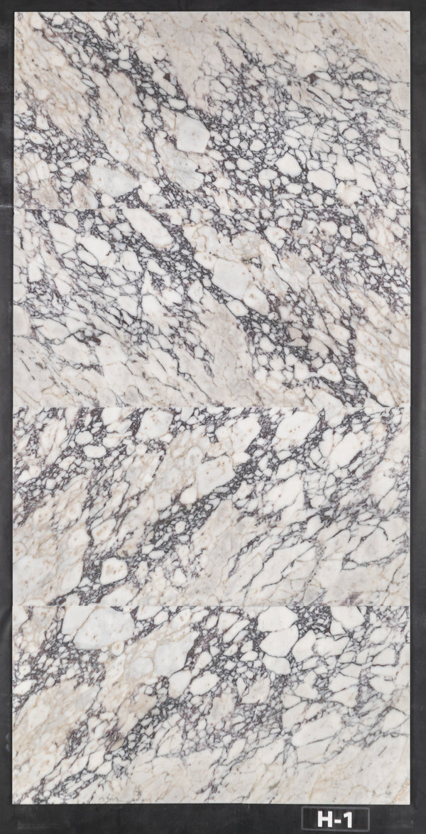 Bianco Violetta 18" x 36" Honed
