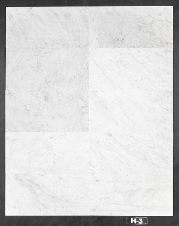 Bianco Carrara 12" x 24" Honed