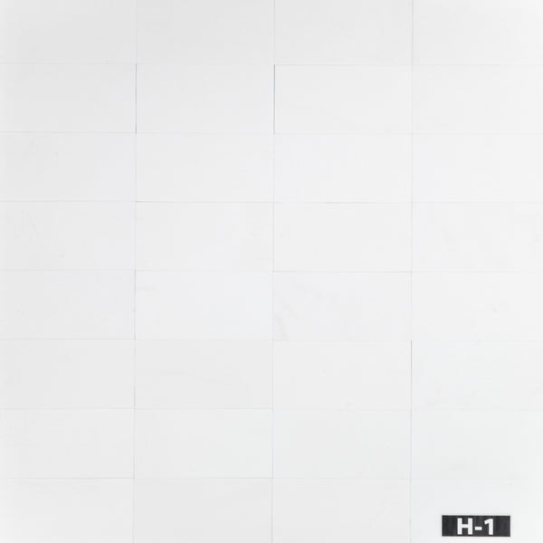 White Thassos 6" x 12" Honed - Elon Tile & Stone