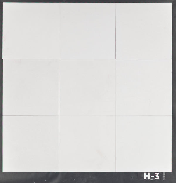 White Thassos 12" x 12" Honed