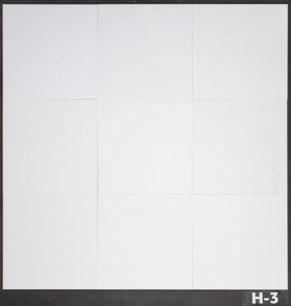 White Thassos 12" x 12" Honed