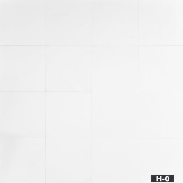 Thassos Blanco 12" x 12" Pulido