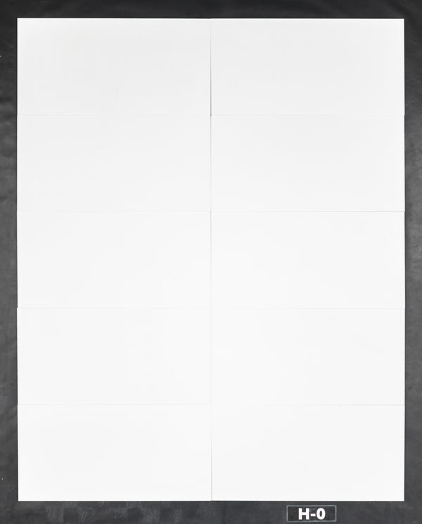 White Thassos 12" x 24" Honed