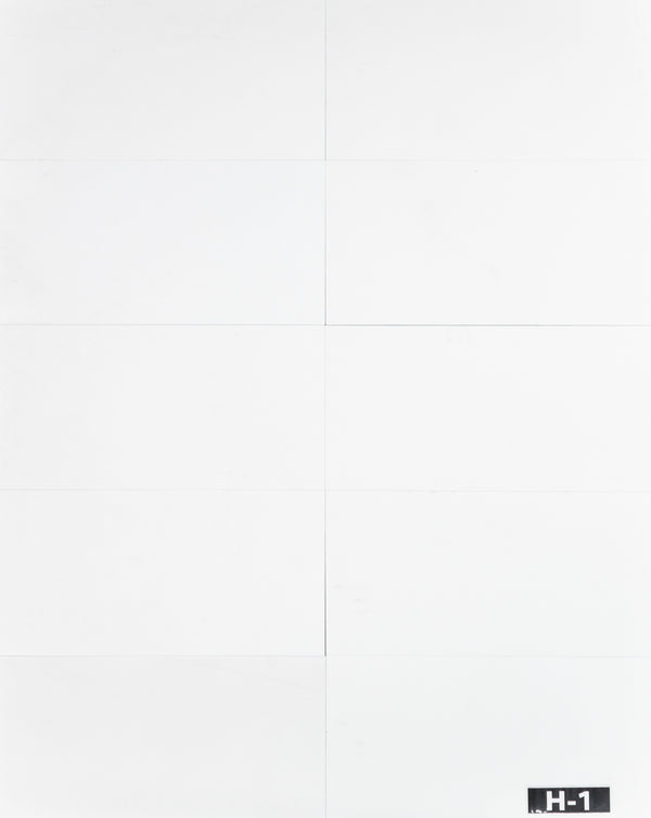 White Thassos 12" x 24" Honed - Elon Tile & Stone