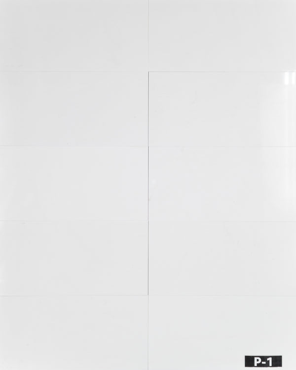Thassos Blanco 12" x 24" Pulido