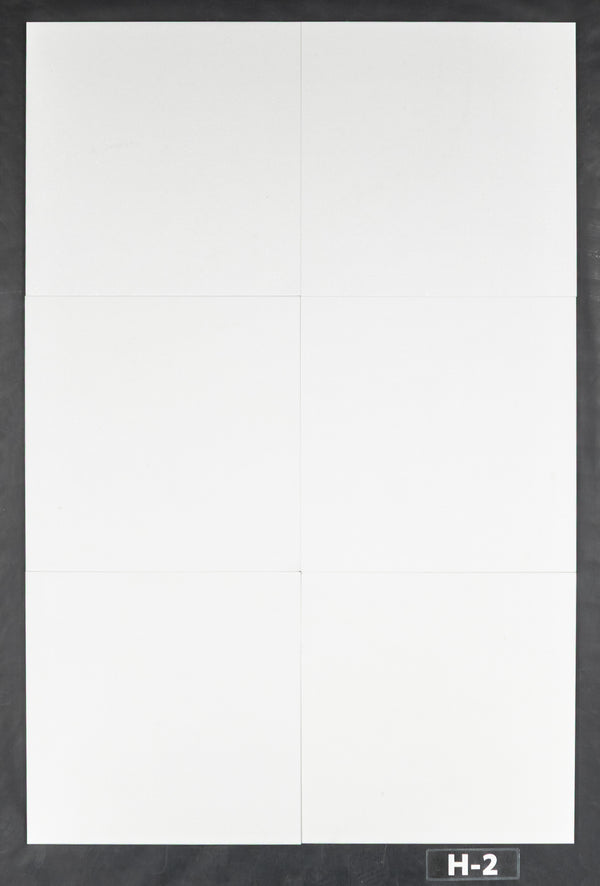 Thassos Blanco 18" x 18" Pulido