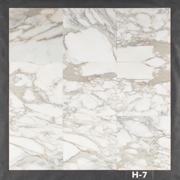 Calacatta Gold 12" x 12" Honed
