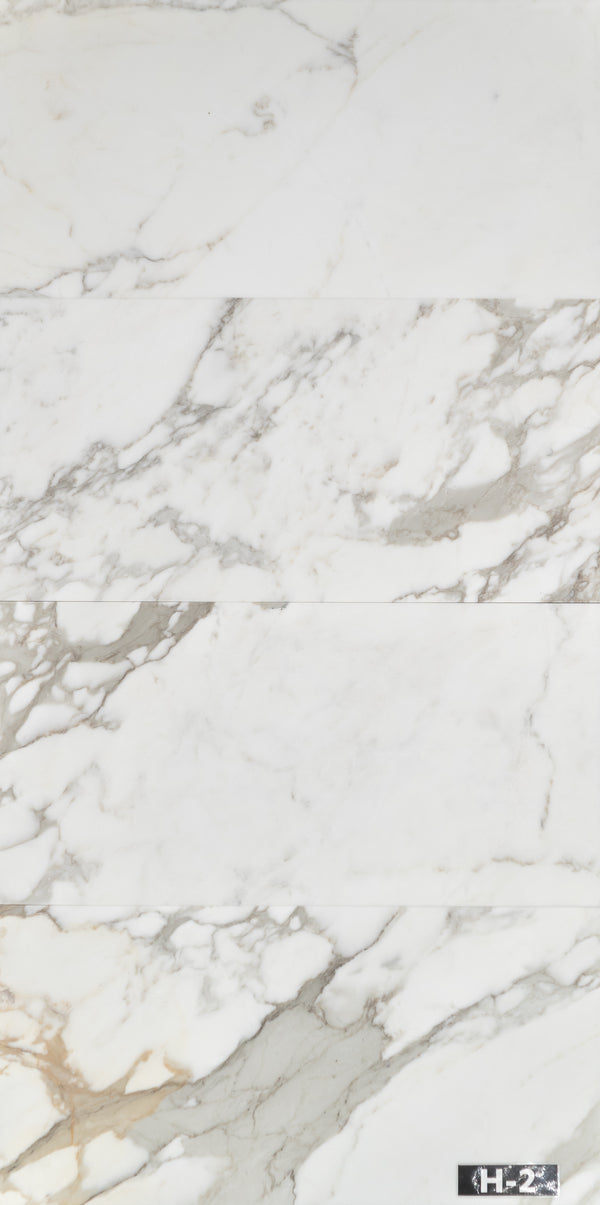 Calacatta Gold 18" x 36" Honed