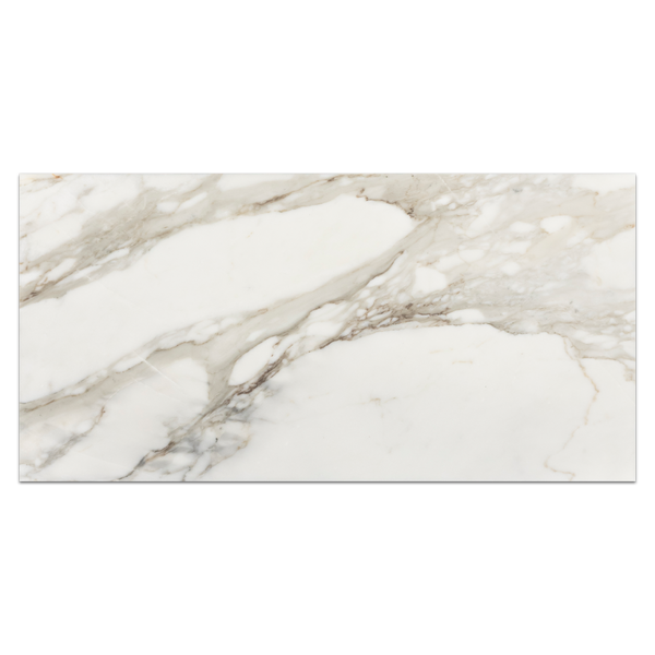 Calacatta Gold 18" x 36" Honed