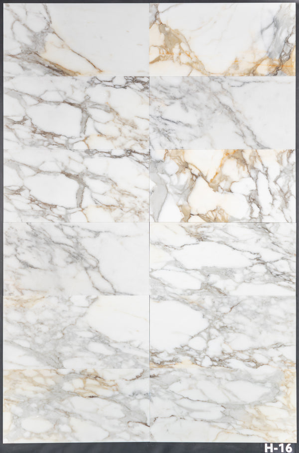 Calacatta Gold 12" x 24" Honed