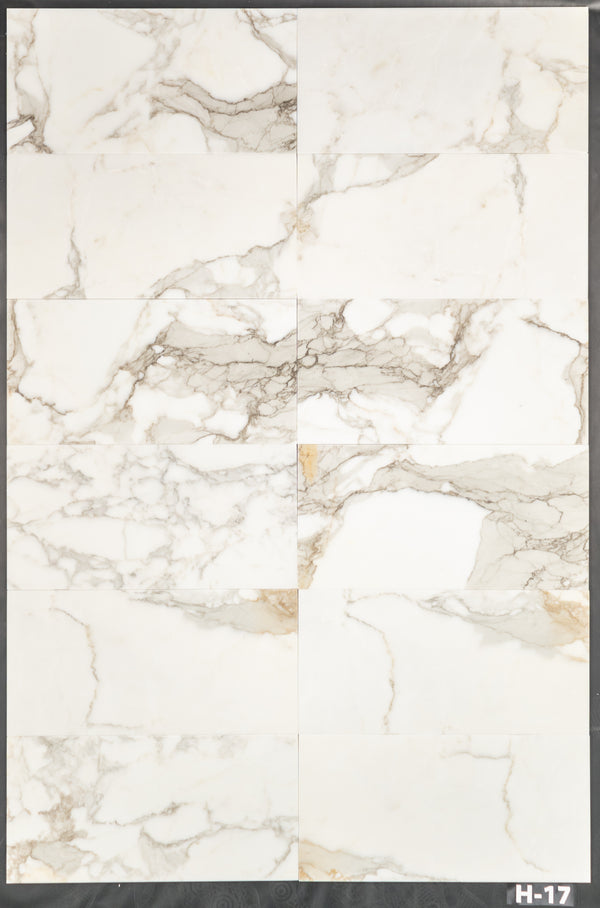 Calacatta Gold 12" x 24" Honed