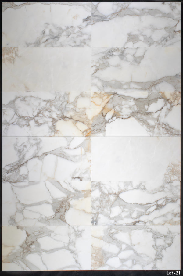 Calacatta Gold 12" x 24" Honed