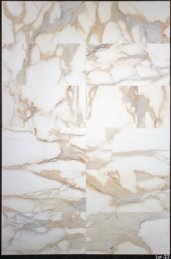 Calacatta Gold 12" x 24" Honed