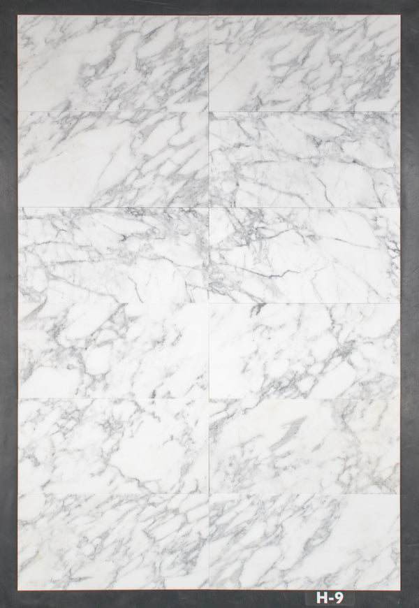 Calacatta Gold 12" x 24" Honed
