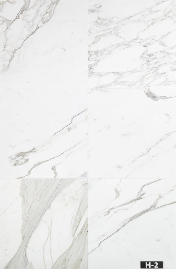 Calacatta Gold 24" x 24" Honed