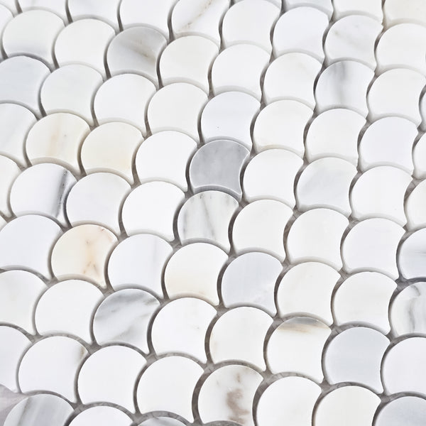 Calacatta Fan Mosaic Honed