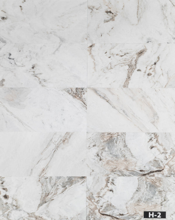 Bianco Oro 12" x 24" Honed