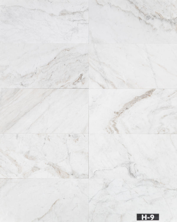 Bianco Oro 12" x 24" Pulido