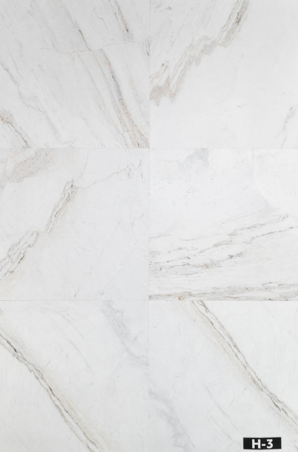 Bianco Oro 24" x 24" Honed
