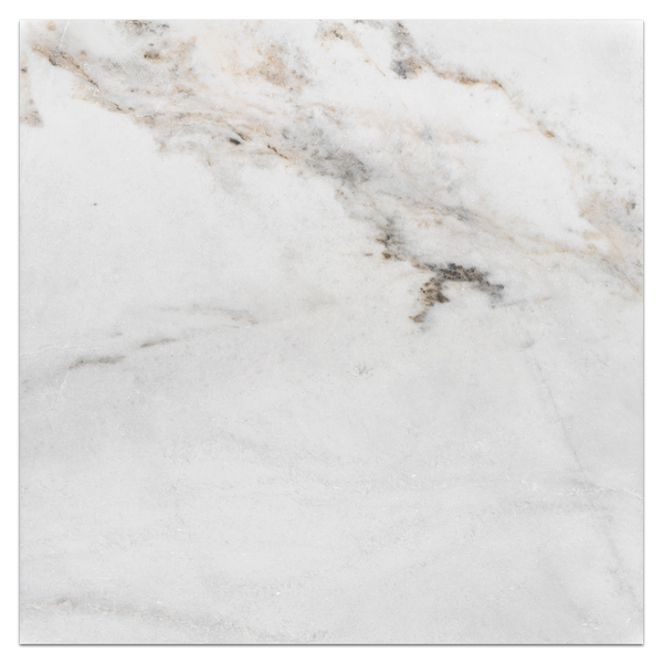 Bianco Oro 24" x 24" Honed