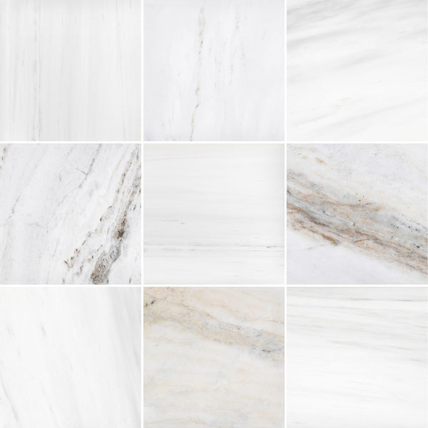 Select Dolomite & Bianco Oro 12" Checkerboard Honed
