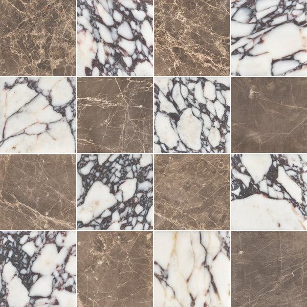 Espresso & Bianco Violetta 4" Checkerboard Honed