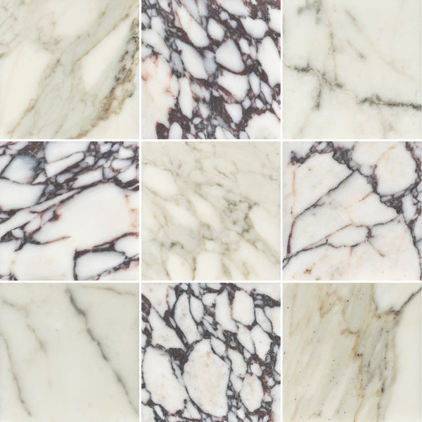 Calacatta Gold 4" x 4" Honed & Bianco Violetta 4" x 4" Honed Checkerboard Board