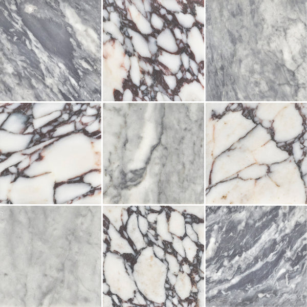 Bardiglio Nuvolato 4" x 4" Honed & Bianco Violetta 4" x 4" Honed Checkerboard Board