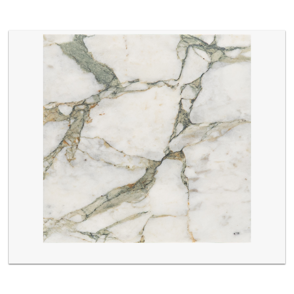 Calacatta Green 12" x 12" Honed Card