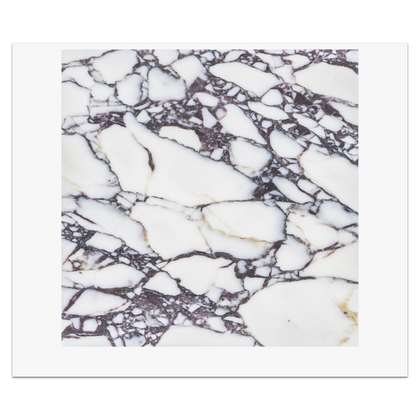 Bianco Violetta 12" x 12" Honed Card