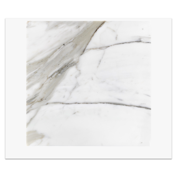 Calacatta Gold 12" x 12" Honed Card