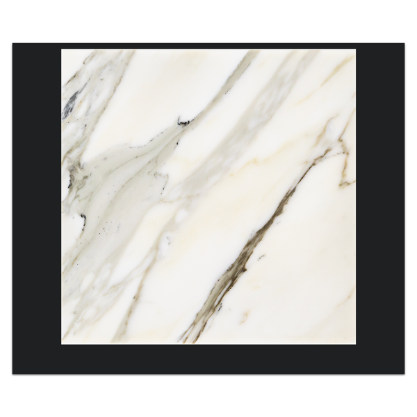 Calacatta Gold 12" x 12" Polished Card