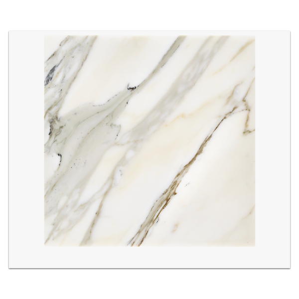 Calacatta Gold 12" x 12" Polished Card