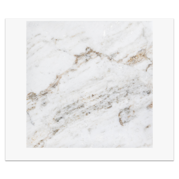 Bianco Oro 12" x 12" Honed Card