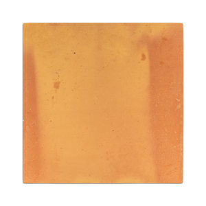 Saltillo Terracotta 12