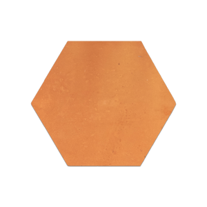 Saltillo Terracotta 8