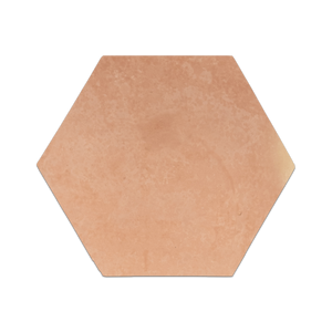 Saltillo Terracotta 12
