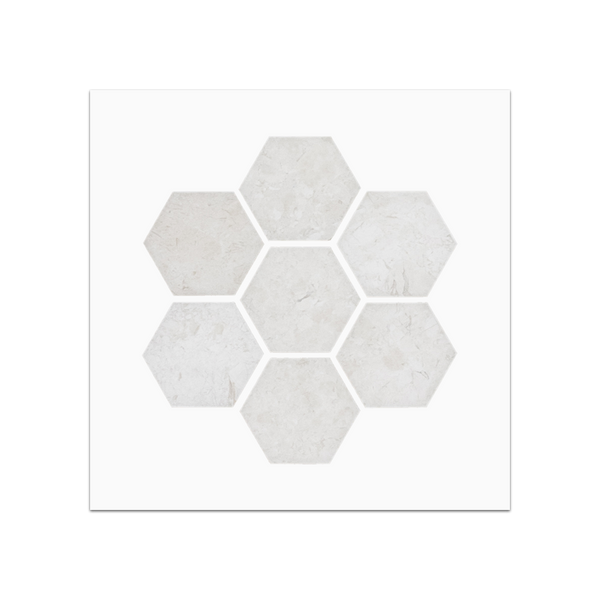 S131 - Alba Nova 2" Hexagon Mosaic Honed Swatch Card
