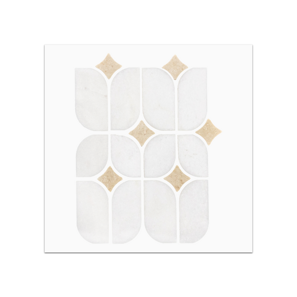 S268 - White Thassos Starlight with Crema Marfil Mosaic Polished Swatch Card