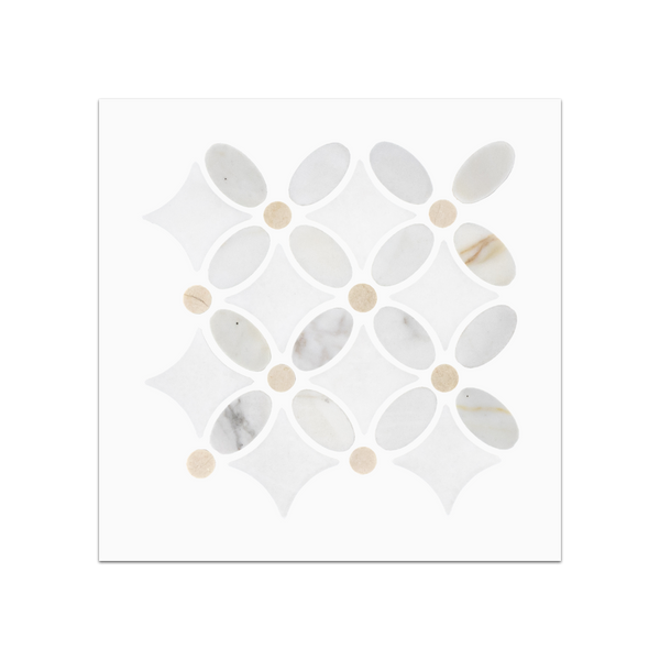 S74 - Calacatta Fleur with White Thassos & Crema Marfil Dot Mosaic Honed Swatch Card
