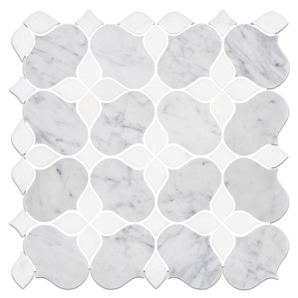 Bianco Carrara Silhouette with White Thassos Mosaic Honed