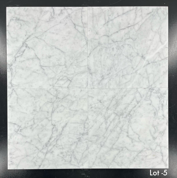 Bianco Carrara Venatino Gioia 12" x 12" Honed - Elon Tile & Stone