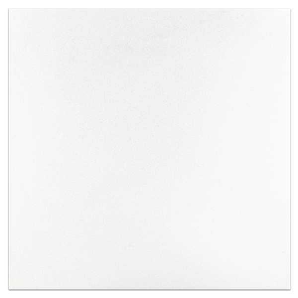 White Thassos Select 18" x 18" Honed - Elon Tile